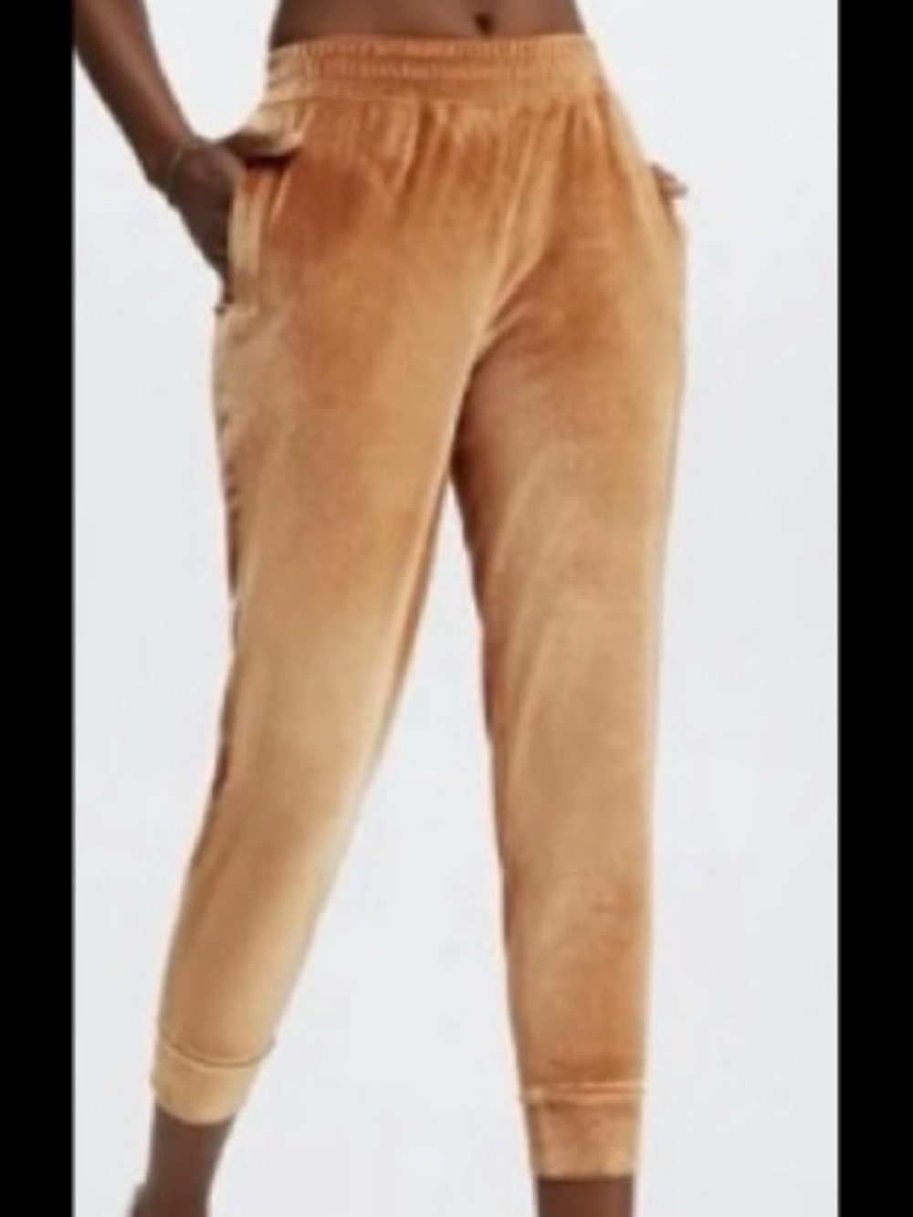 VGC Velvet Jogger Pants in Gold